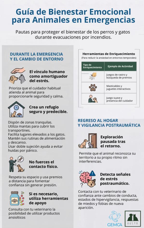 “Perros y gatos también sufren estrés postraumático”: los veterinarios crean una guía para saber cómo actuar en caso de evacuación por incendio - La vuelta a casa no siempre acaba con el miedo: los animales también pueden sufrir estrés postraumático