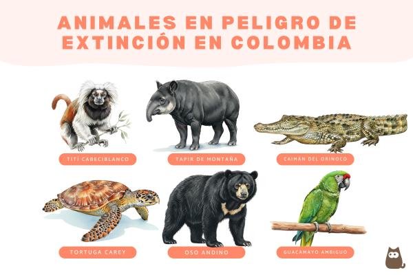Animales en peligro de extinción en Colombia