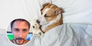 Manuel Liquindoli, educador canino: “Dormir cerca de sus dueños puede aportar seguridad, reducir la necesidad de mantenerse alerta y fortalecer los vínculos”