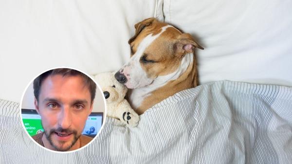 Manuel Liquindoli, educador canino: “Dormir cerca de sus dueños puede aportar seguridad, reducir la necesidad de mantenerse alerta y fortalecer los vínculos”
