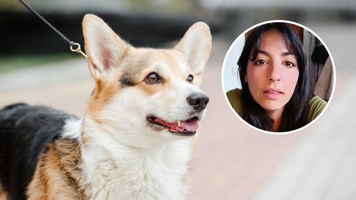 Andrea Muñiz, educadora canina: “Detrás de un perro que ladra a otros perros o personas hay un sistema nervioso desbordado”