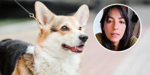 Andrea Muñiz, educadora canina: “Detrás de un perro que ladra a otros perros o personas hay un sistema nervioso desbordado”