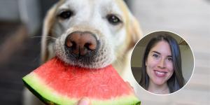 María, veterinaria: “Los frutos rojos son mi opción favorita para los perros, pero hay otras 4 frutas muy buenas”