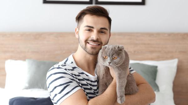 Los psicólogos coinciden: las personas que viven con gatos disfrutan más del tiempo a solas y de los momentos de tranquilidad - Los gatos ofrecen compañía sin pedir nada a cambio 