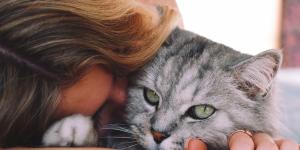 Los psicólogos coinciden: las personas que viven con gatos disfrutan más del tiempo a solas y de los momentos de tranquilidad