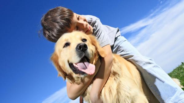 Un alcalde italiano propone que los dueños de perros y gatos aporten 20 euros al año por animal para ayudar a las familias con hijos - Las familias con hijos también conviven con animales, recuerdan las asociaciones
