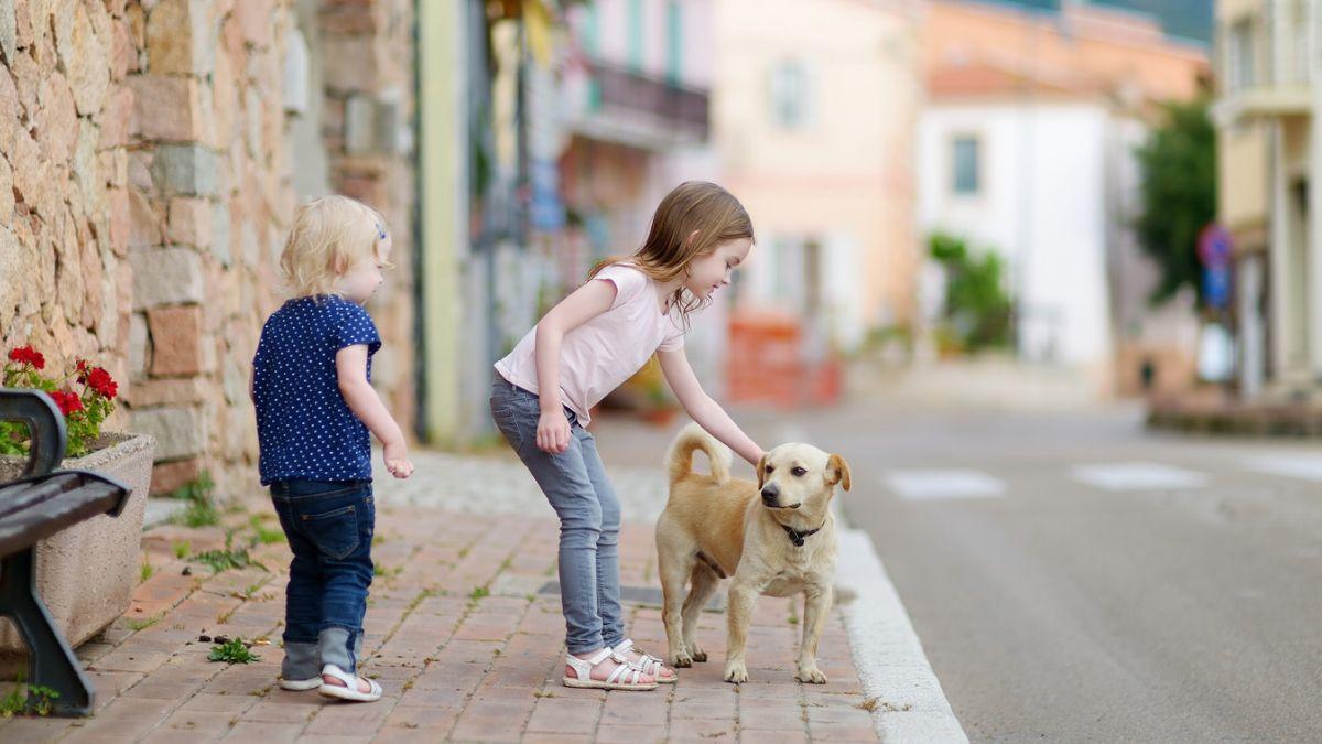 Un alcalde italiano propone que los dueños de perros y gatos aporten 20 euros al año por animal para ayudar a las familias con hijos
