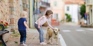 Un alcalde italiano propone que los dueños de perros y gatos aporten 20 euros al año por animal para ayudar a las familias con hijos