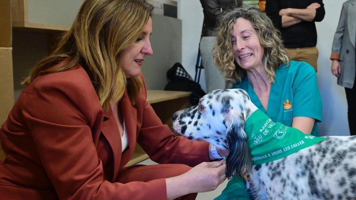 Ya están disponibles los 12.000 pañuelos verdes de las Fallas 2026: así puedes proteger a tu perro