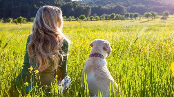 La ciencia lo confirma: los perros nos acompañan desde hace más de 16.000 años - El ADN revela que perros y humanos comparten 16.000 años de historia