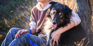 La ciencia lo confirma: los perros nos acompañan desde hace más de 16.000 años