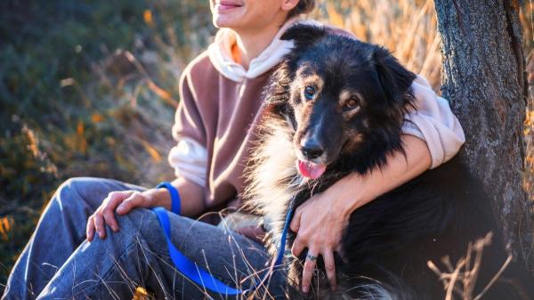 La ciencia lo confirma: los perros nos acompañan desde hace más de 16.000 años