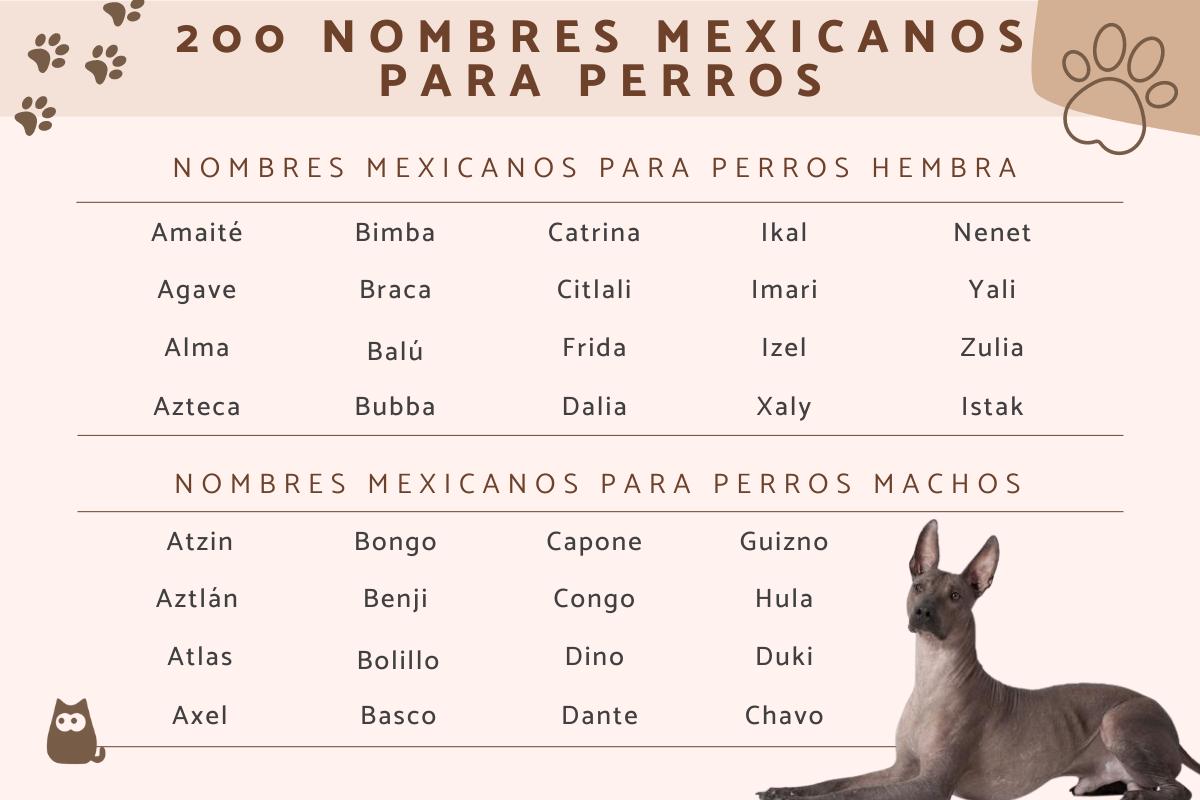 Nombres mexicanos para perros