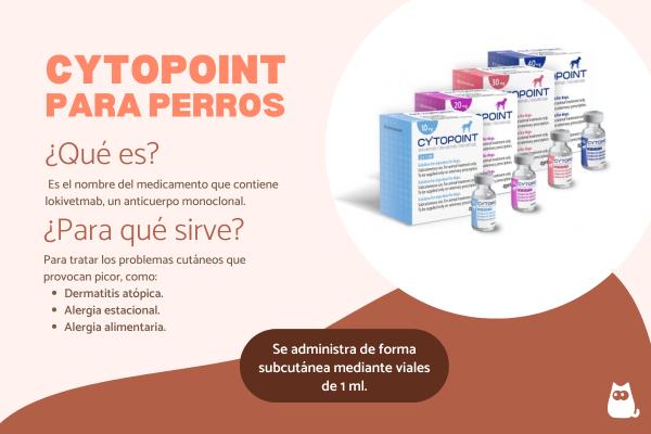 Cytopoint para perros: dosis, usos y efectos secundarios