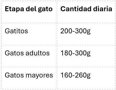 Descubre cuánta comida húmeda debes dar a tu gato - Ración recomendada según la edad del gato