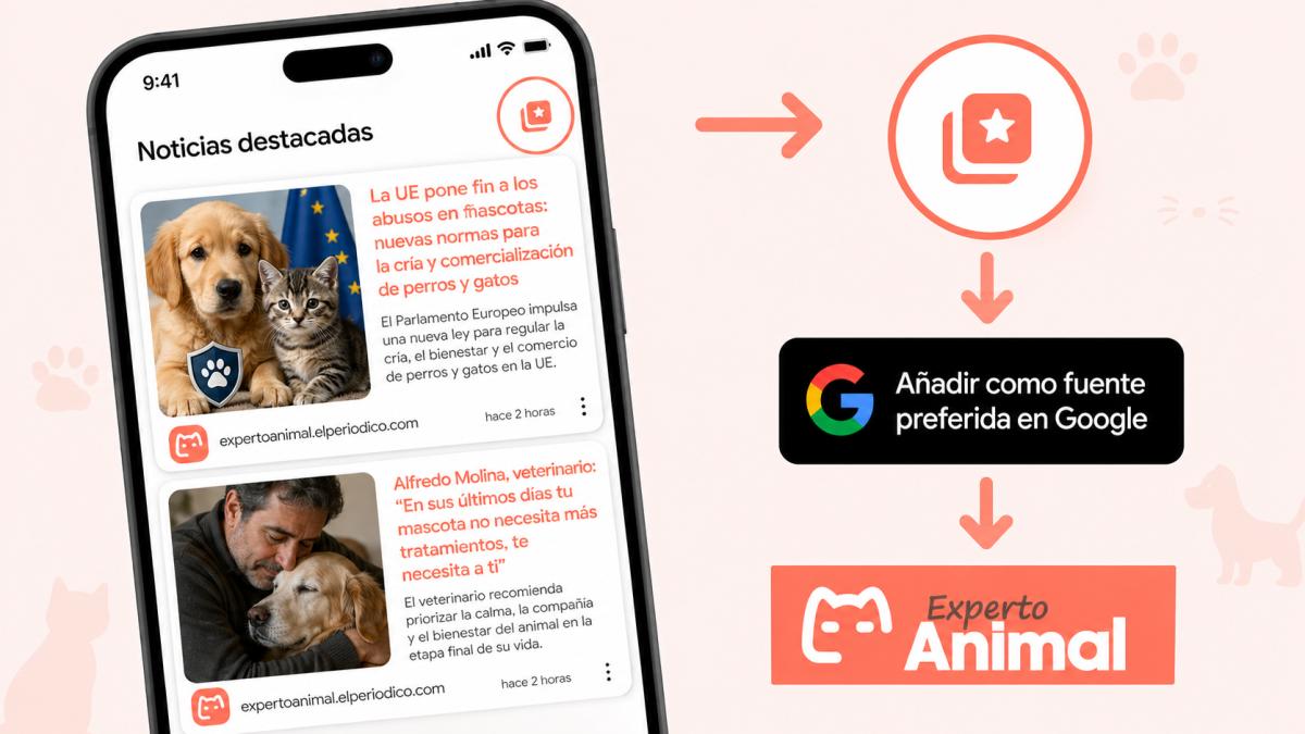 Experto Animal ya puede añadirse como fuente preferida en Google: así puedes ver más noticias nuestras en tus búsquedas