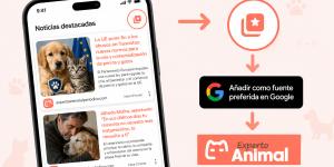 Experto Animal ya puede añadirse como fuente preferida en Google: así puedes ver más noticias nuestras en tus búsquedas