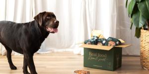 ¿Cómo darle proteína saludable a mi perro?