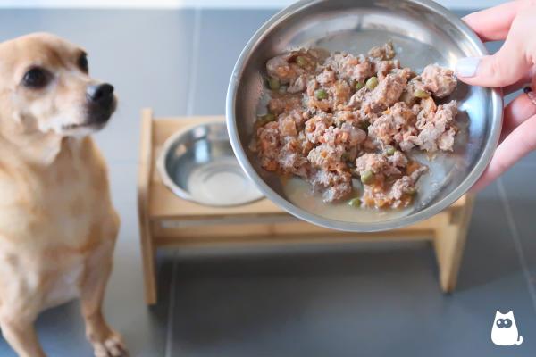 ¿Cómo darle proteína saludable a mi perro? - ¿Cuánta proteína tiene que comer un perro?