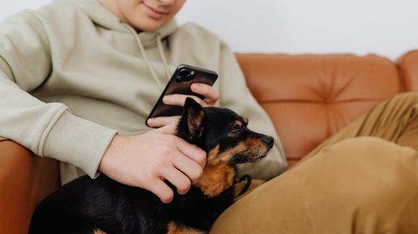 Un estudio revela que crecer con un perro podría ayudar a los adolescentes a afrontar mejor el estrés durante toda su vida - Otros estudios relacionan convivir con perros con un mayor bienestar en adolescentes