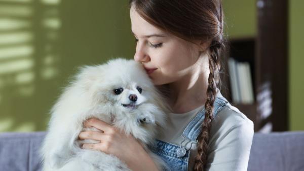 Un estudio revela que crecer con un perro podría ayudar a los adolescentes a afrontar mejor el estrés durante toda su vida - Rutinas, actividad física y apoyo emocional: así podría ayudar un perro a un adolescente a afrontar el estrés