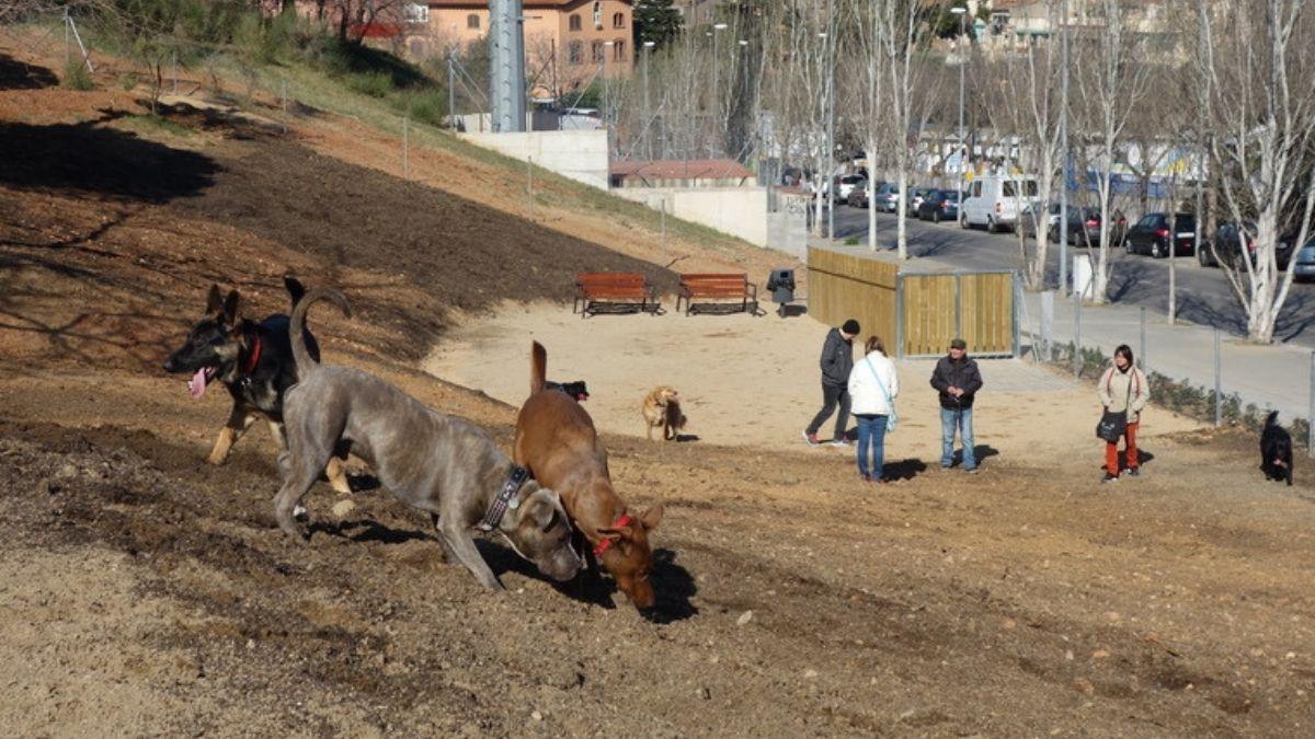 Adiós al concepto de pipicán: Sant Adrià de Besòs tendrá una de las mayores áreas para perros de Barcelona (con más de 2.000 metros cuadrados)