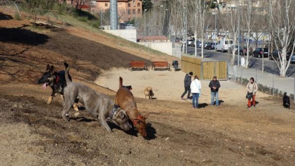 Adiós al concepto de pipicán: Sant Adrià de Besòs tendrá una de las mayores áreas para perros de Barcelona (con más de 2.000 metros cuadrados)