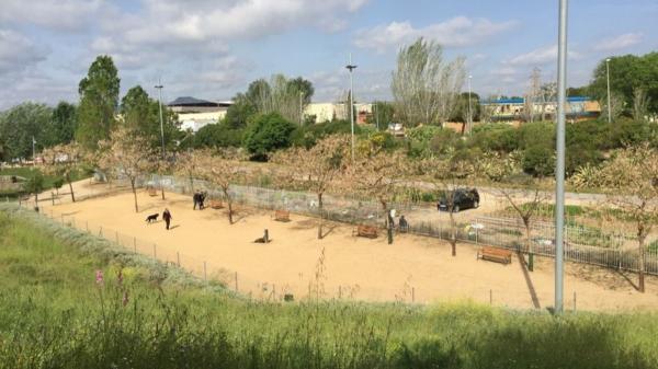 Adiós al concepto de pipicán: Sant Adrià de Besòs tendrá una de las mayores áreas para perros de Barcelona (con más de 2.000 metros cuadrados) - Del pipicán tradicional al parque especializado: así es la nueva arquitectura canina de Sant Adrià de Besòs