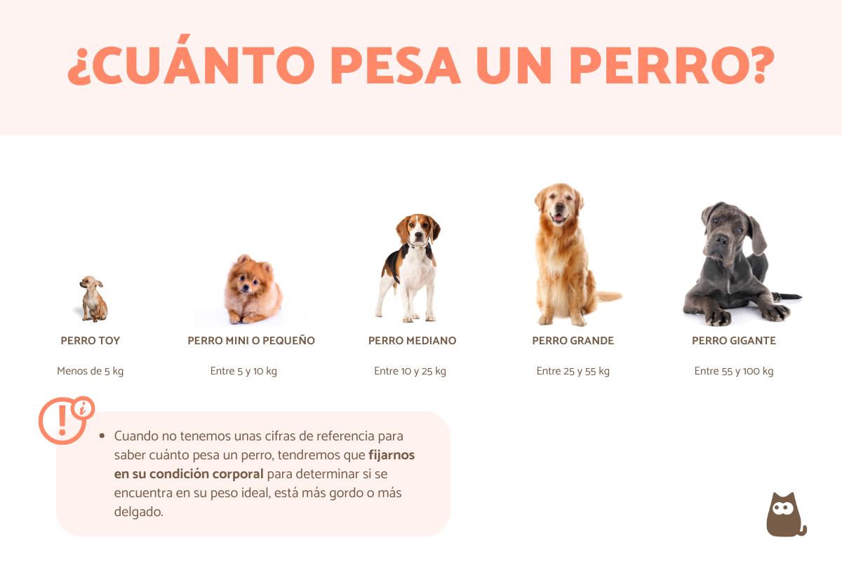 ¿Cuánto pesa un perro?