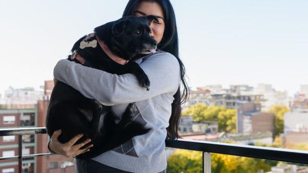 Juan Manuel Liquindoli, educador canino: “Cuando tu perro te mira durante el paseo, está comprobando si la situación es segura” - Los expertos coinciden: tu perro copia tu reacción
