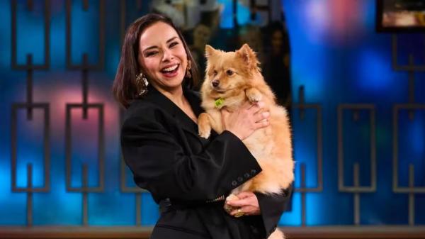 Una mujer asegura que la perra de Chenoa es su mascota desaparecida: ¿puede una prueba de ADN demostrar de quién es un perro? - El microchip no solo sirve para encontrar a un perro perdido: también puede demostrar quién es su propietario