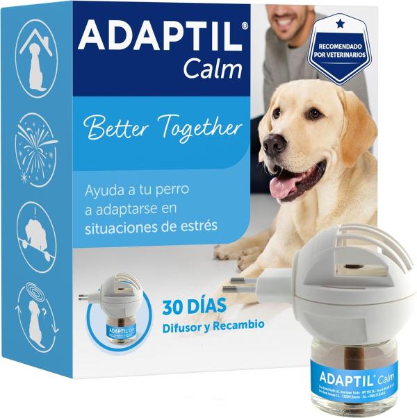 Los mejores tranquilizantes para perros caseros y naturales - Los mejores tranquilizantes naturales para perros