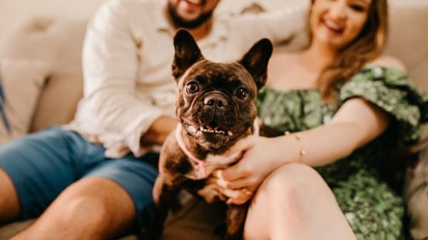 Dormir con tu perro reconforta, pero esto es lo que revela la psicología sobre tu necesidad de apego - Dormir con tu perro es un regalo, pero no el único que tu mente necesita