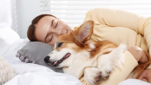 Dormir con tu perro reconforta, pero esto es lo que revela la psicología sobre tu necesidad de apego - Ni mejores ni peores, solo diferentes: lo que advierte la psicología sobre el apego