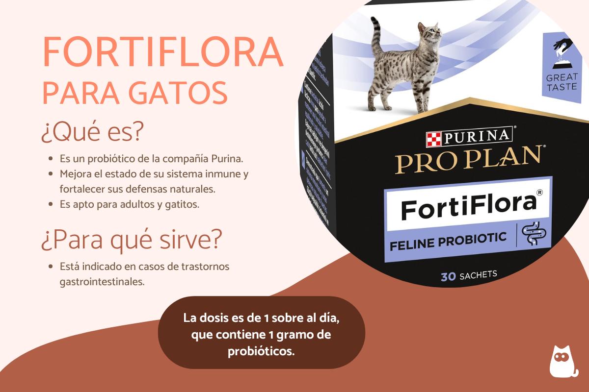 Fortiflora para gatos: dosis y para qué sirve