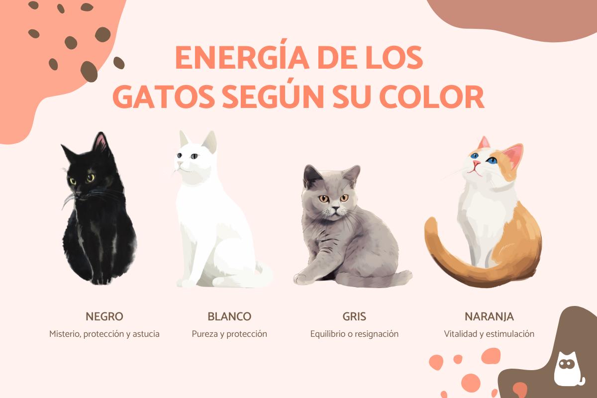 La energía de los gatos según su color