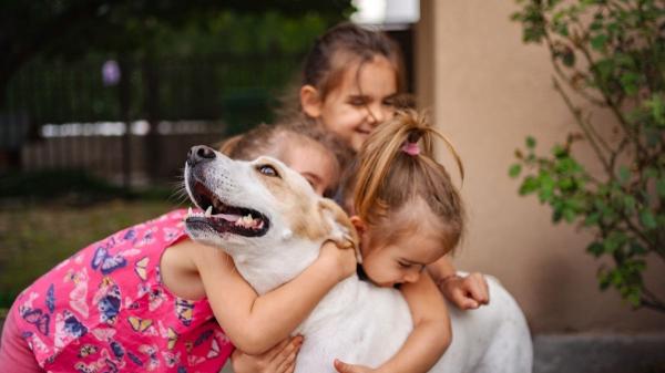 Los psicólogos señalan que las personas que viven con perros podrían tener mayor inteligencia emocional - El papel de los perros en el desarrollo emocional de niños y adolescentes
