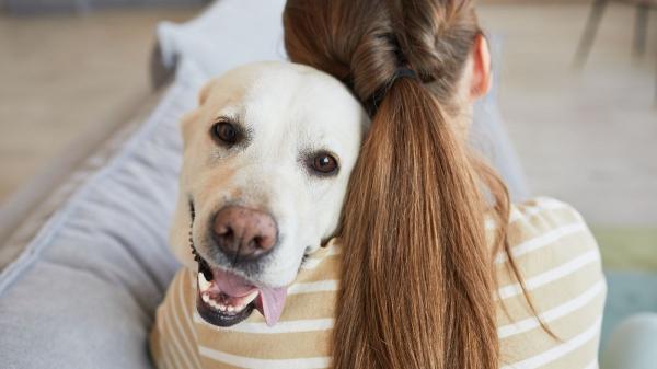 Los psicólogos señalan que las personas que viven con perros podrían tener mayor inteligencia emocional - Lo que dice la ciencia sobre vivir con perros y la inteligencia emocional