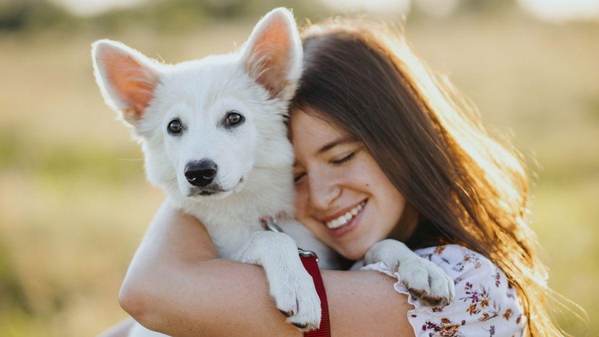 Los psicólogos señalan que las personas que viven con perros podrían tener mayor inteligencia emocional