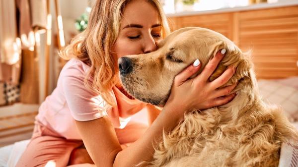Los psicólogos señalan que las personas que viven con perros podrían tener mayor inteligencia emocional - Qué beneficios tiene vivir con un perro a nivel emocional y cognitivo