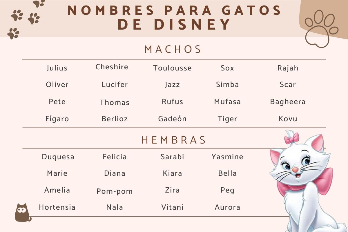 Nombres de Disney para gatos