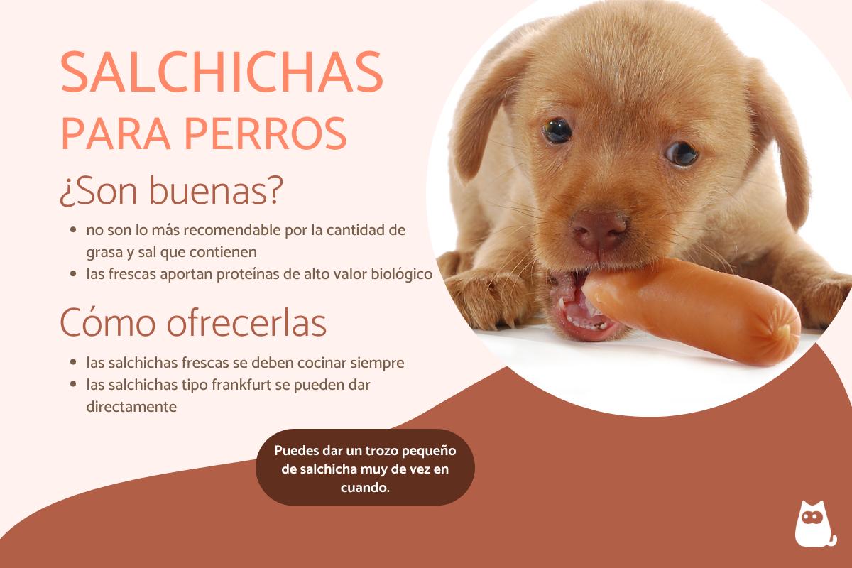 ¿Los perros pueden comer salchichas?
