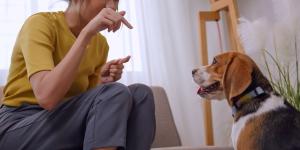 Alberto Sanz, adiestrador canino: “Los perros aprenden mucho más de los gestos que de las palabras”