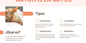 Artritis en gatos: síntomas, tratamiento y remedios naturales
