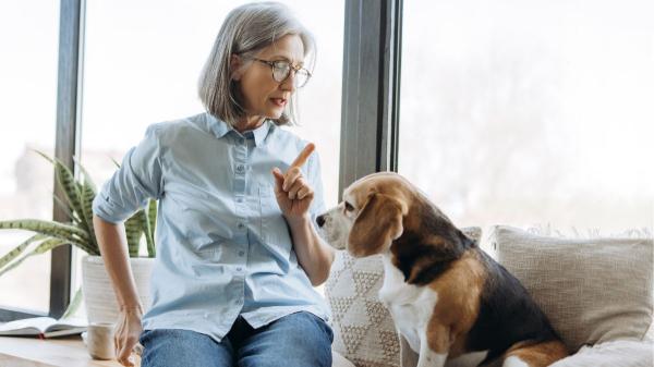 Alberto Sanz, adiestrador canino: “Los perros aprenden mucho más de los gestos que de las palabras” - El detalle que marca la diferencia cuando te comunicas con tu perro