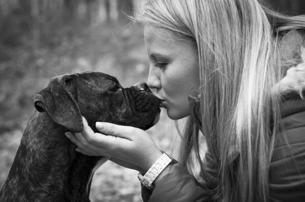 ¿Dónde puedo adoptar un perro en Madrid? - Qué tener en cuenta antes de adoptar un perro