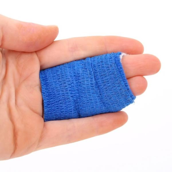 duelen las mordeduras de perro