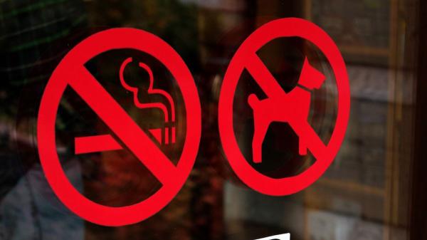 Ya es oficial: la Ley de Bienestar Animal prohíbe a bares y restaurantes rechazar mascotas sin un cartel visible desde la calle - Qué establece realmente la Ley de Bienestar Animal sobre la entrada de mascotas en locales