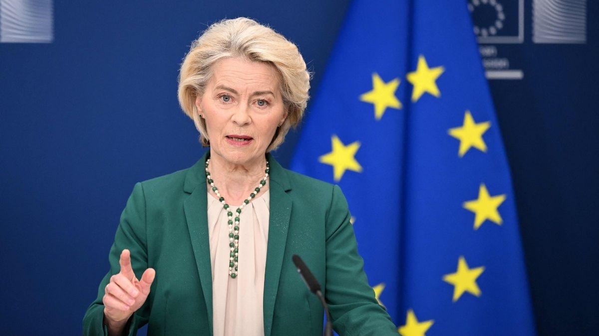 Es oficial: la UE obligará a identificar con microchip y registrar a los perros y gatos que entren en su territorio a partir del 31 de agosto de 2031