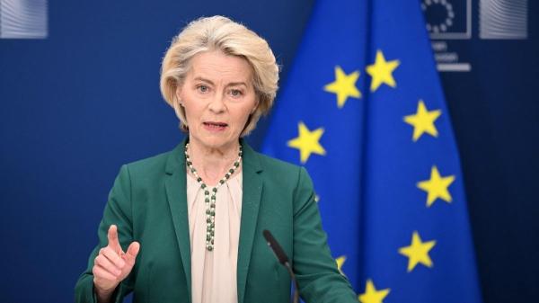 Es oficial: la UE obligará a identificar con microchip y registrar a los perros y gatos que entren en su territorio a partir del 31 de agosto de 2031